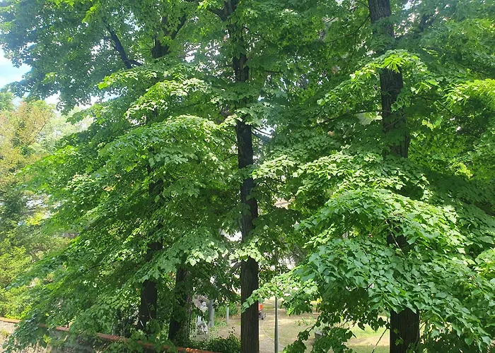 L'arco Living 5 Apartment